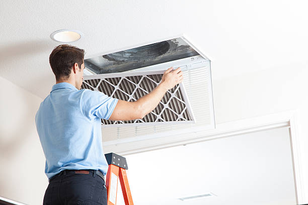 Best Air Filters and Purifiers in Middletown, MD